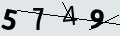verifycode